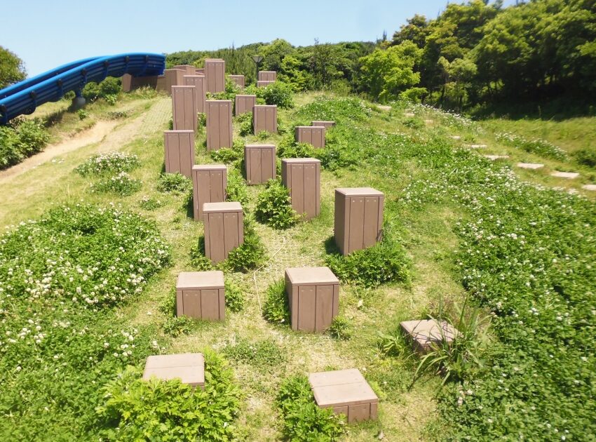 三苫浜中央公園 リズムステップ